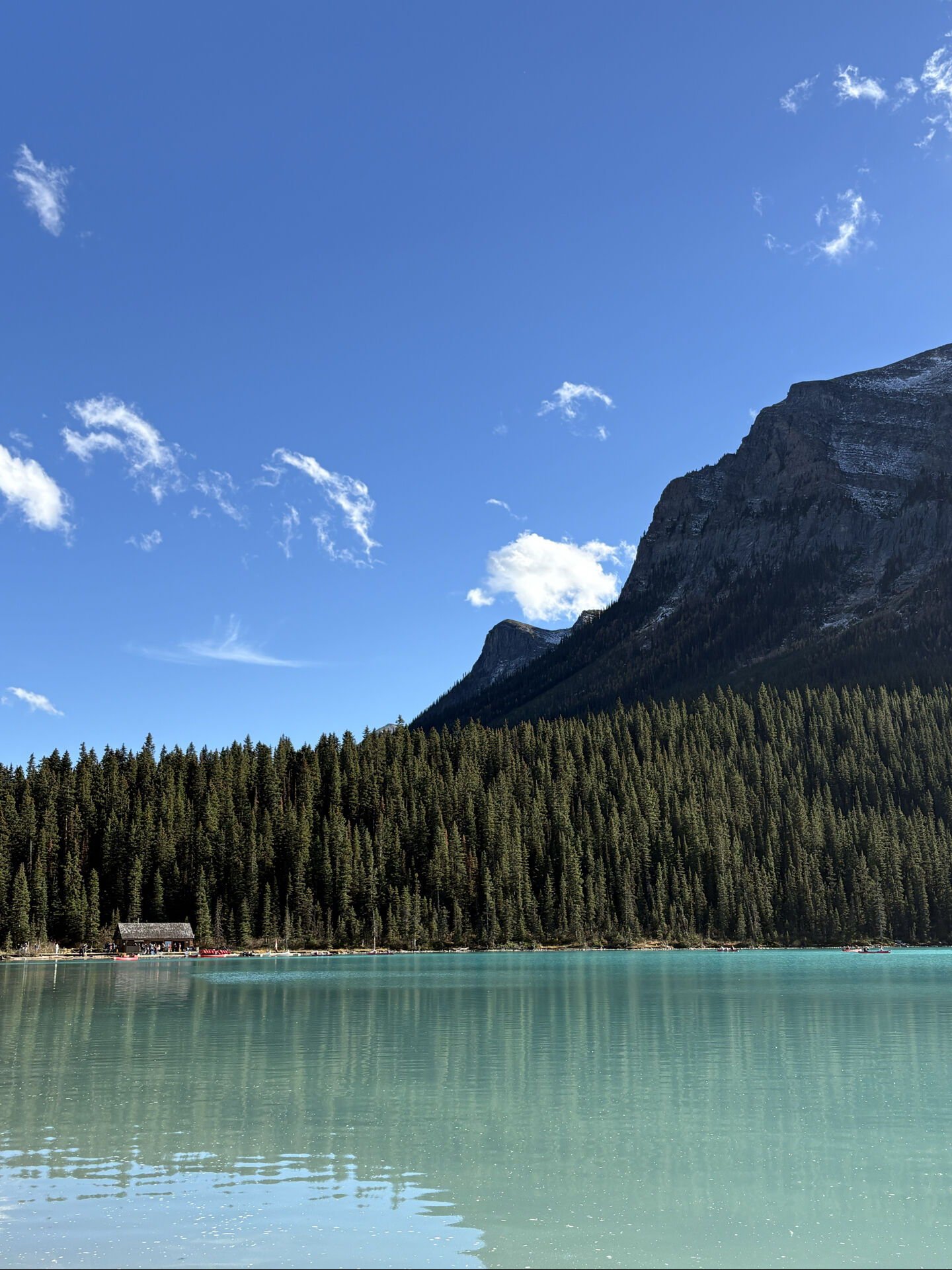 투어 강추 드립니다 🥹