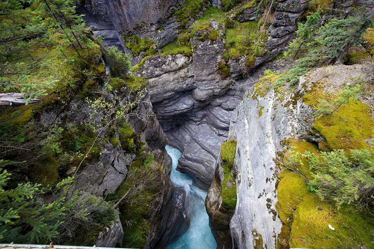 Maligne Canyon