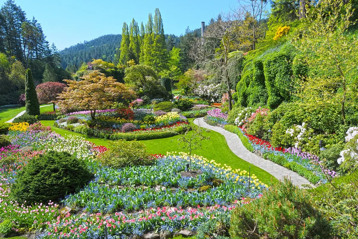 Butchart Garden