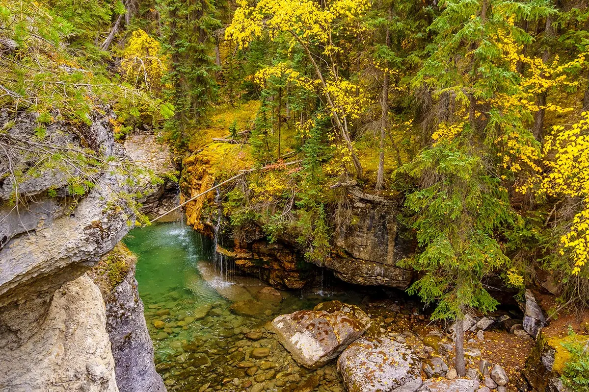 Jasper National Park