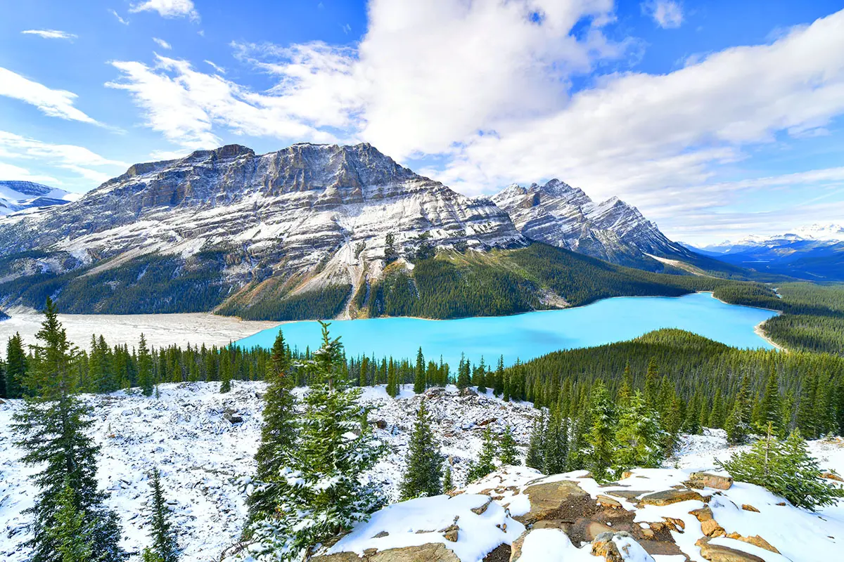Peyto Lake (Summer)