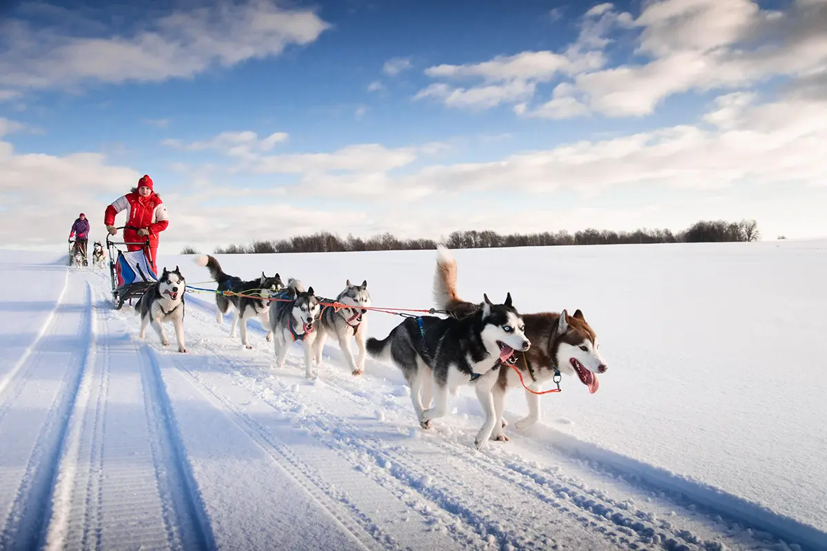 Optional sightseeing or free time