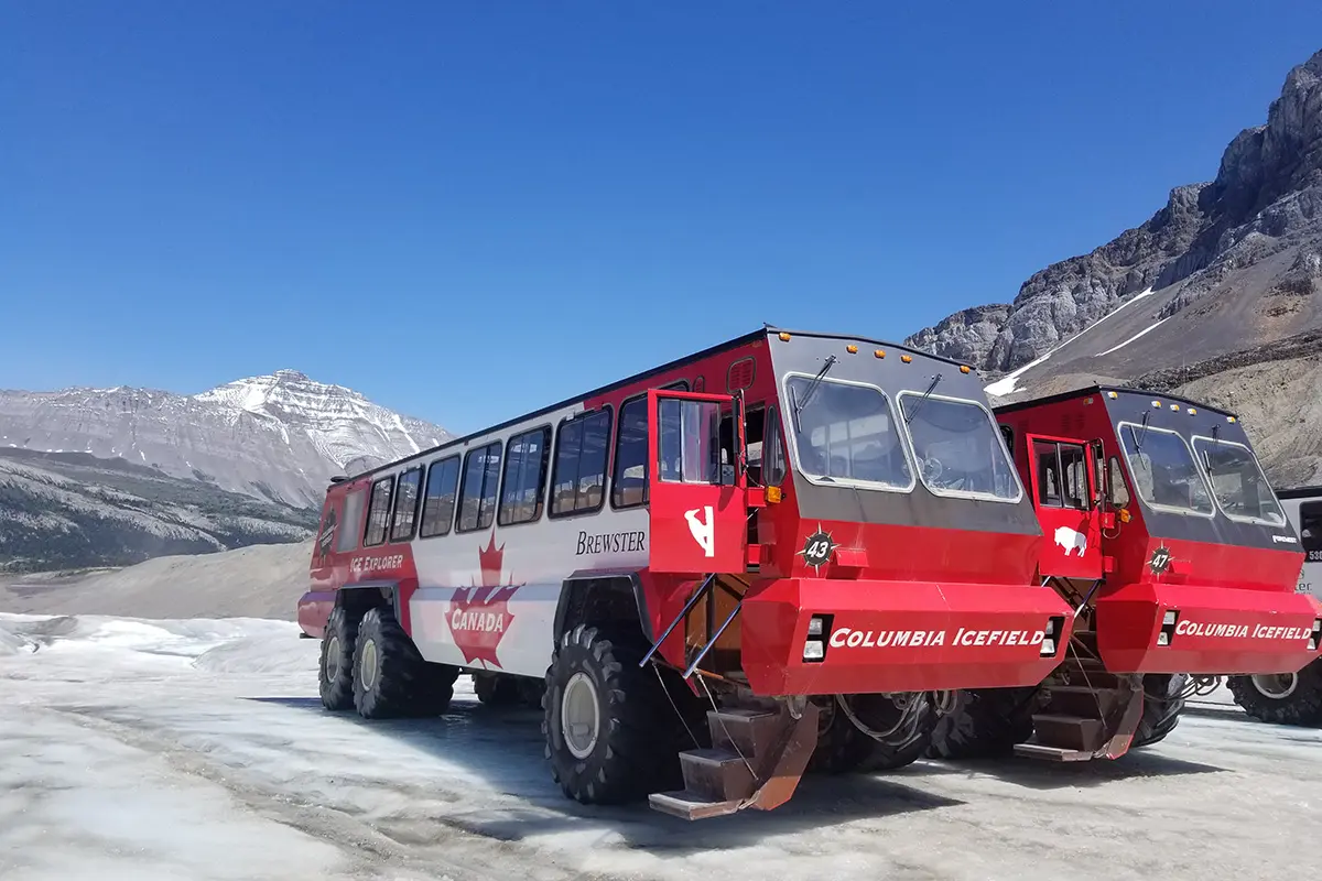 Icefield Snow Coach