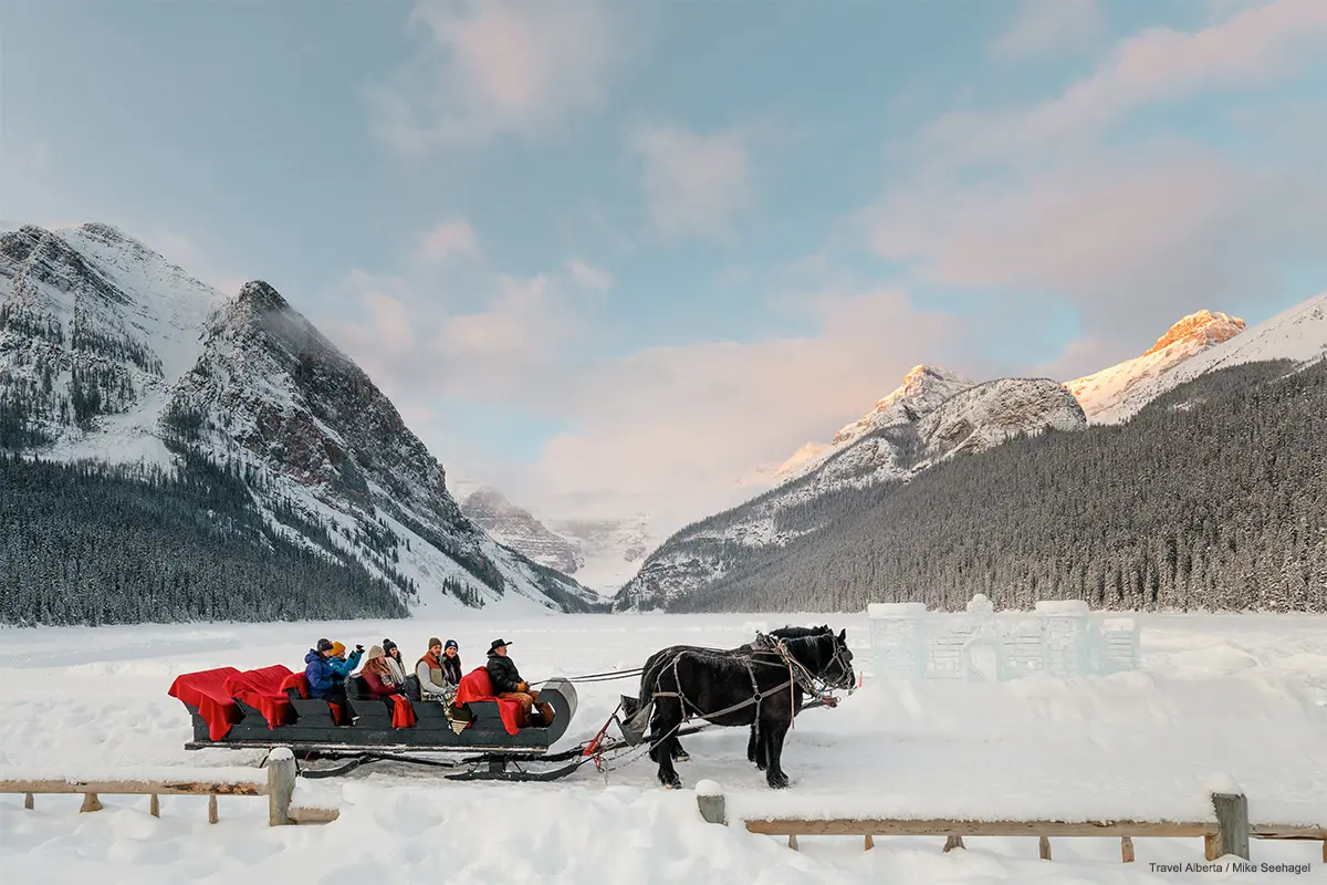 Horse Sleigh at Lake Louise