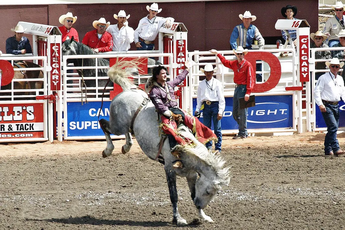 Calgary Stampede