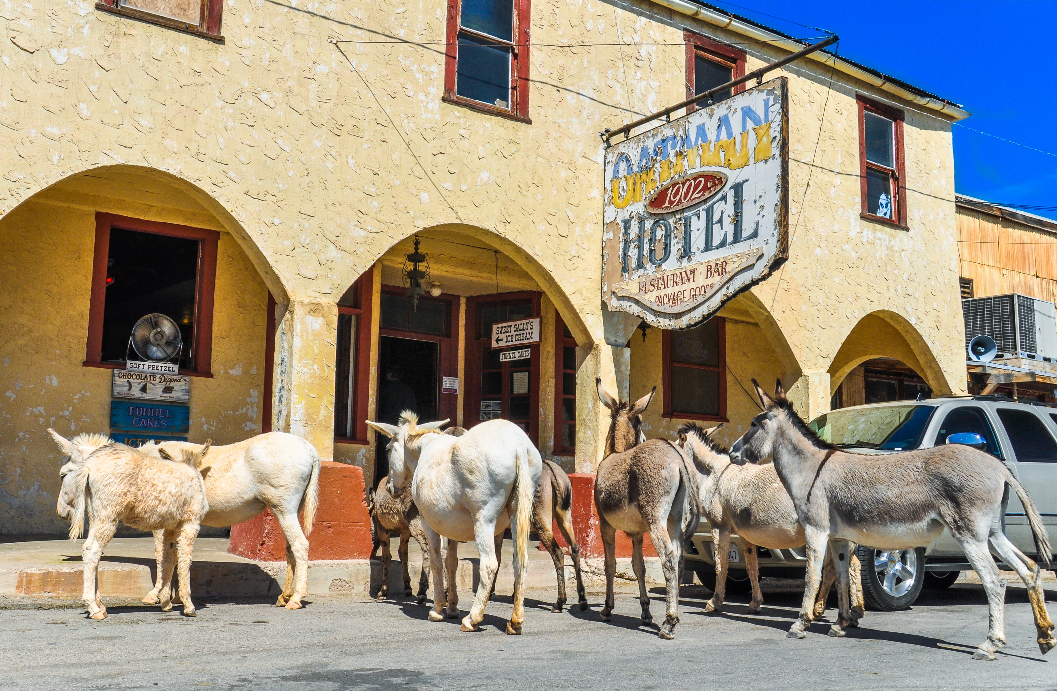 Oatman