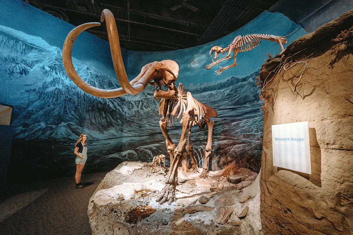 Royal Tyrrell Museum