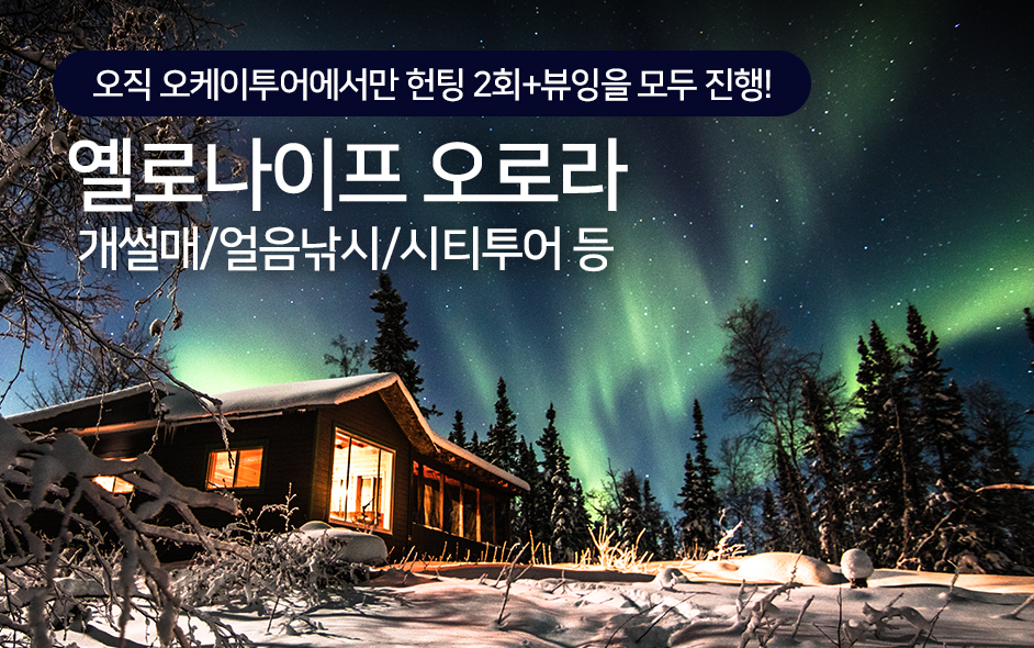 세계 최고의 오로라 관측지 - 환상의 옐로우나이프 오로라