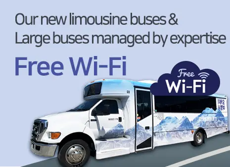 Free wifi & usb charghing - Brand new tour buses